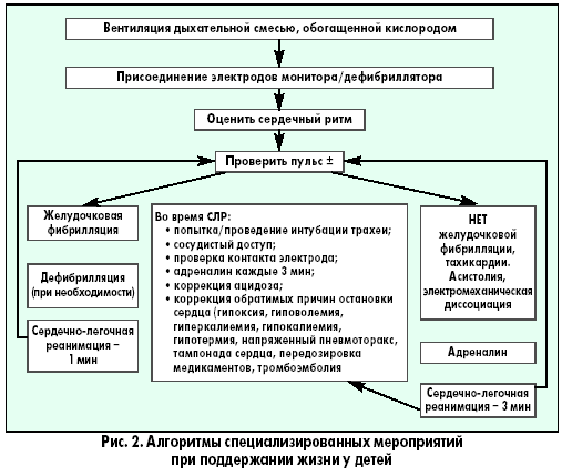 ris2.gif ris2.gif
