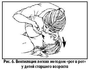 ris6.gif ris6.gif