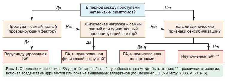 practallris1.jpg