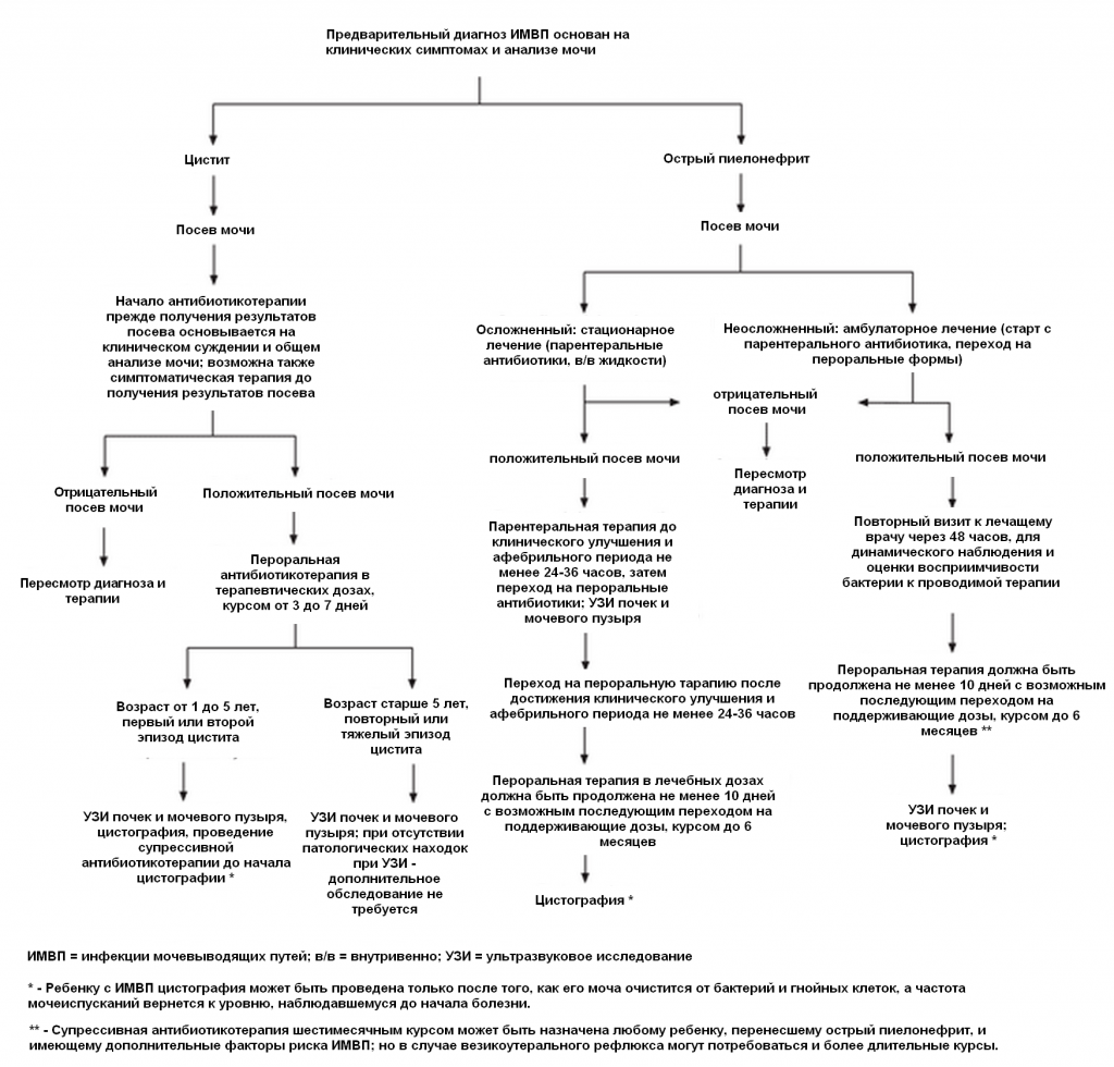 инфекция мочевыводящих путей, имвп