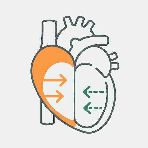 Минималистичная схема: сердце по центру; слева стрелки наружу — систола (выталкивание), справа пунктирные стрелки внутрь — диастола (наполнение). Flat-style, без текста.
