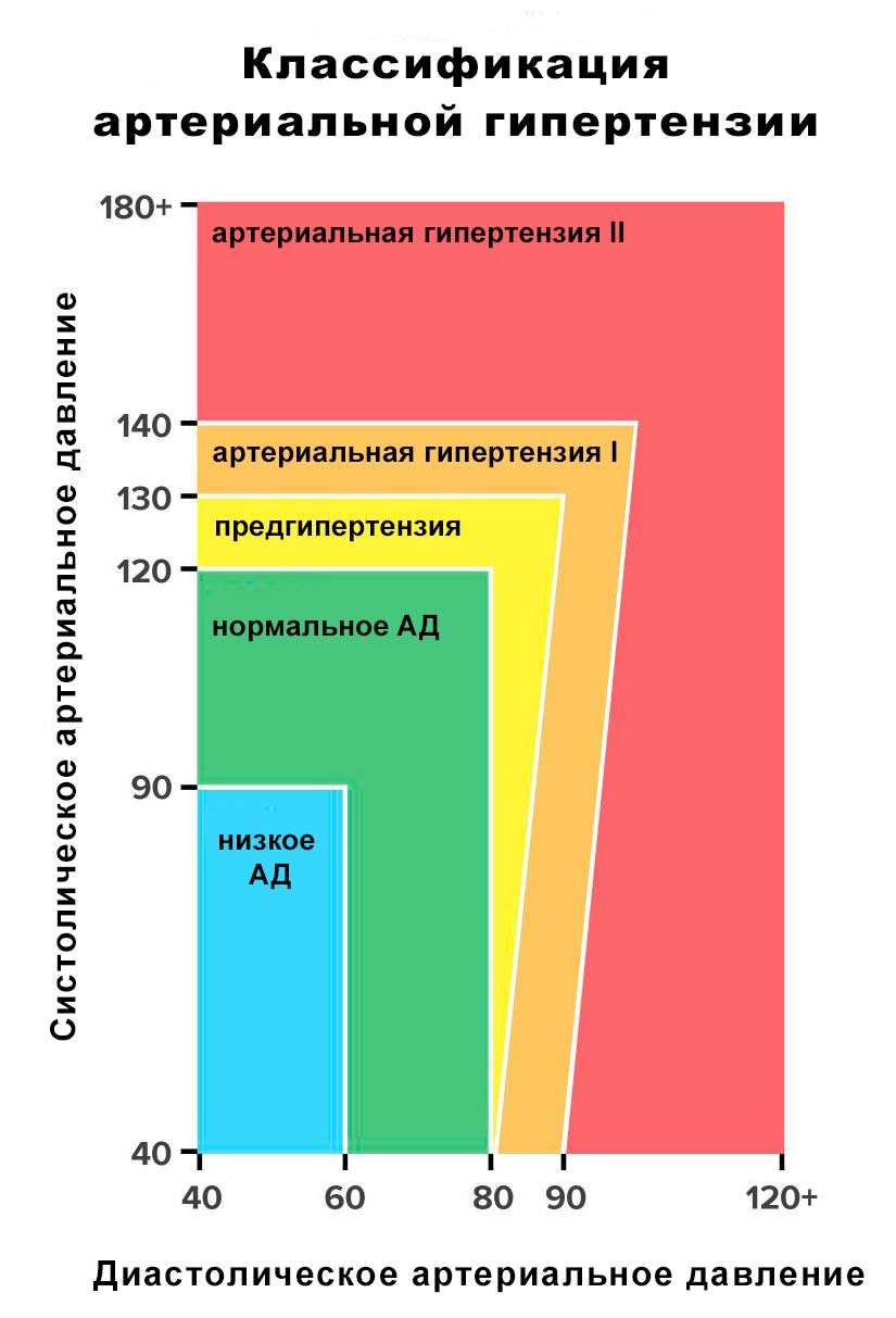 артериальное давление