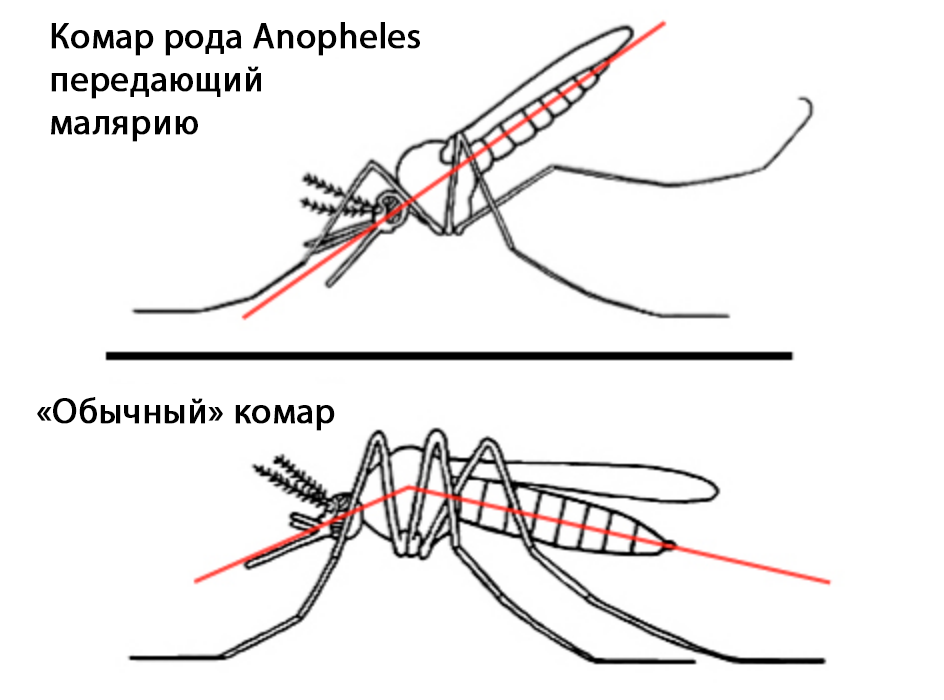 малярия