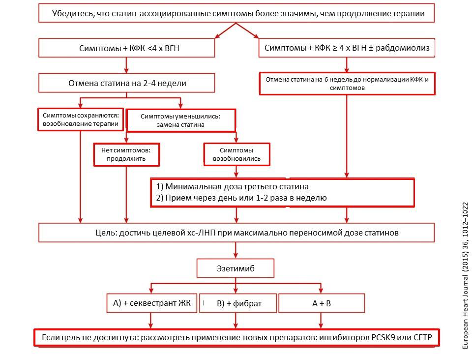 статины. алгоритм при мышечных болях.