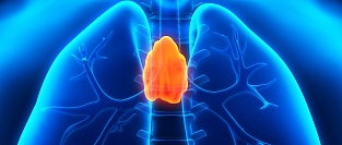 Миастения. Консенсусные рекомендации 2016