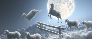 Поздно ложиться спать - вредно