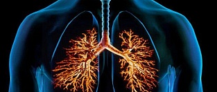 Руководство по лечению острого бронхита