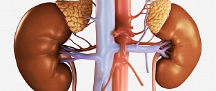 Рекомендации международного эндокринного общества по скринингу вторичной артериальной гипертензии