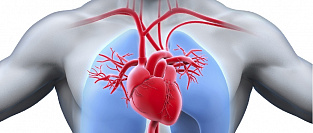 МАРС или малые аномалии развития сердца.