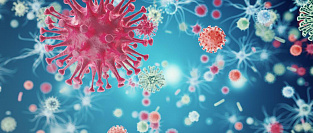 Возбудители вирусной пневмонии