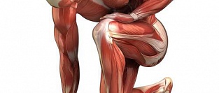 Рекомендации по ведению ревматической полимиалгии 2015