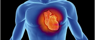 О синтетическом натрийуретическом пептиде в лечении острой декомпенсации сердечной недостаточности