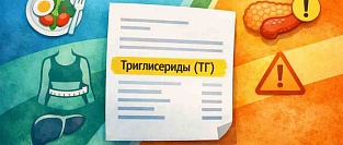 Повышенные триглицериды (ТГ): когда это про обмен веществ, а когда — про риск панкреатита