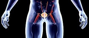 BRCA2 у мужчин. О необходимости скрининга рака простаты