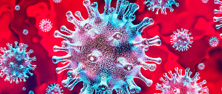 Коронавирусная инфекция COVID-19. Симптомы, признаки, клинические особенности.
