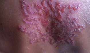 Фото загадка