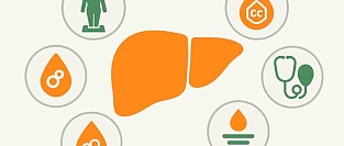 Новая классификация болезней печени. Практический взгляд и размышлизмы