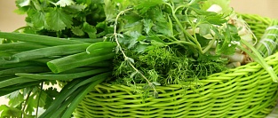 Зелень и здоровье