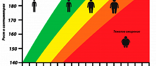 Индекс Массы Тела