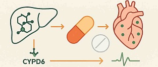 Взаимодействие антидепрессантов и бета-блокаторов: клинические риски, механизмы и тактика