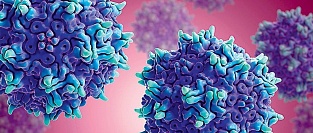 Вирусная геморрагическая лихорадка