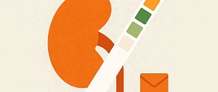 Скрининг альбуминурии в популяции: способ справиться со «скрытой» ХБП?