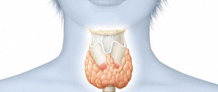 Заболевания щитовидной железы и психическое здоровье детей