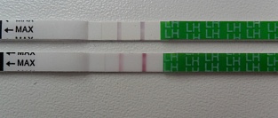 Секс вне окна овуляции и вероятность беременности