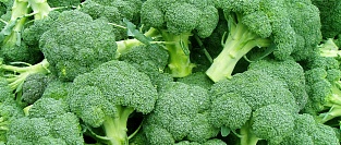 Брокколи. Невкусно, но полезно ли?