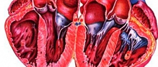 Рекомендации ESC/EACTS по клапанным порокам сердца 2017