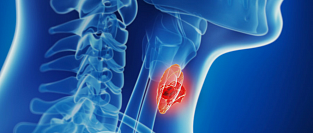Проект европейских критериев по эндокринным дизрапторам 2017