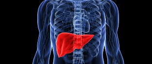 Интерпретация анализов для оценки повреждения печени. Рекомендаций ACG